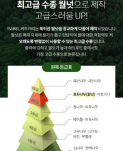 Load image into Gallery viewer, Premium Walnut wood Handle Flatware set